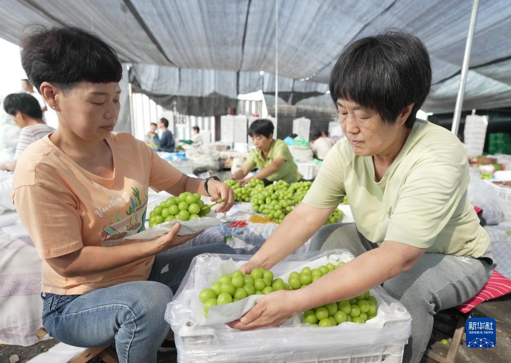 斗牛完整版下载